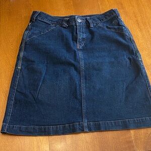 Mountain Hardwear Dark Blue A-Line Skirt